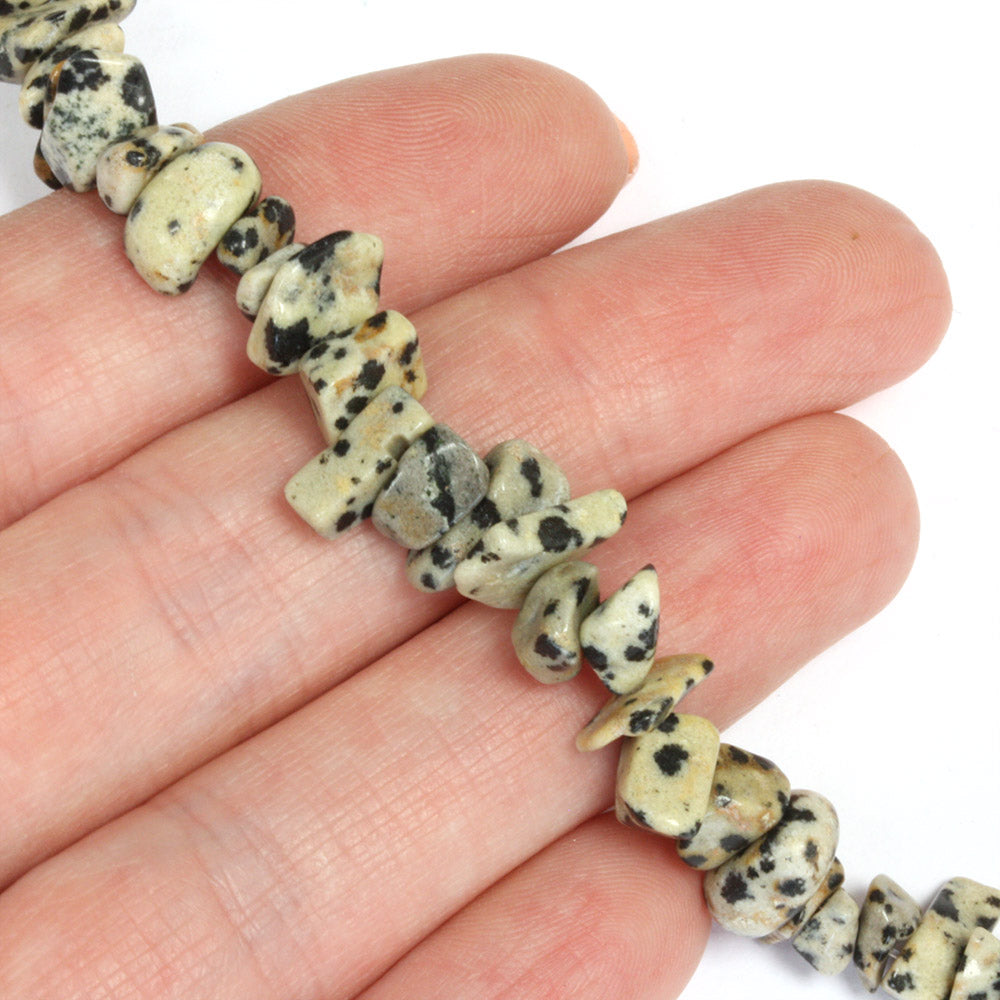 Dalmatian Jasper Chips - 80cm Strand