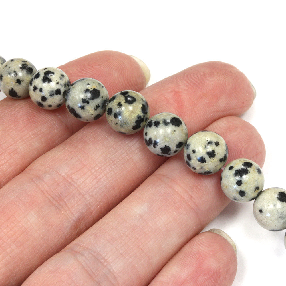 Dalmatian Jasper Rounds 8mm - 35cm Strand